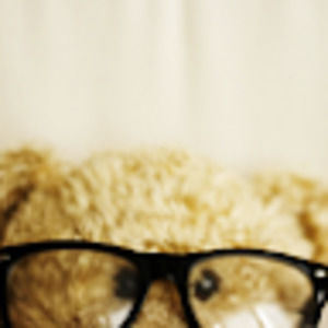 Meet your Posher, Jocelyn